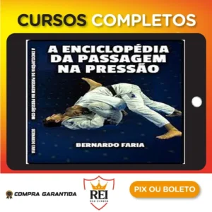 Enciclopédia da Passagem na Pressão - Bernardo Faria